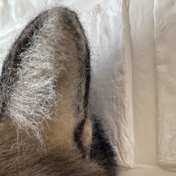 【オーダーメイド】等身大・羊毛リアル猫　顔パネル 〜シンプルスタイル〜 6枚目の画像