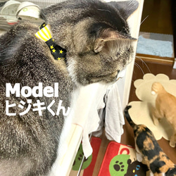 クールなアメリカンスター！猫ちゃん首輪 8枚目の画像