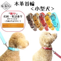 【大幅お値下げ】CHEVAL BLANC グレー レザーリードと首輪セット ClassicCollar_Brown_300-