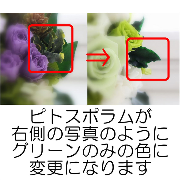 プリザーブドフラワー＜ホワイトバスケット＞  アレンジメント ブルーローズ バラ 【お祝い】青い薔薇 5枚目の画像