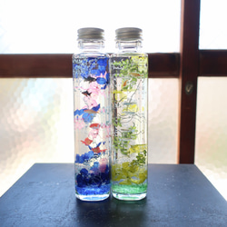 『夏の福袋』植物ノ瓶詰メ標本Collection　【手のひら水槽：金魚＆メダカ】 4枚目の画像