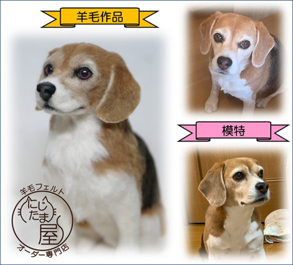 オーダーメイド うちの子 羊毛フェルト ペット 犬 猫 ぬいぐるみ リアル　羊毛フェルトオーダー　チワワ　ダックス 6枚目の画像