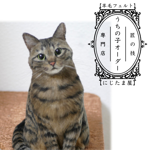 オーダーメイド うちの子 羊毛フェルト ペット 犬 猫 ぬいぐるみ オーダーメイド うちの子 羊毛フェルト ペット 犬 猫 ぬいぐるみ