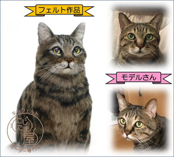 オーダーメイド うちの子 羊毛フェルト ペット 犬 猫 ぬいぐるみ リアル　羊毛フェルトオーダー　チワワ　ダックス 2枚目の画像