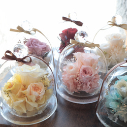 001.ユーカリオーバルリース ユーカリのリース｜横浜ディスプレイミュージアム