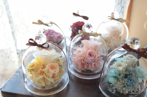 Renewal ガラスドームアレンジ プリザーブドフラワー 花咲（はなえみ