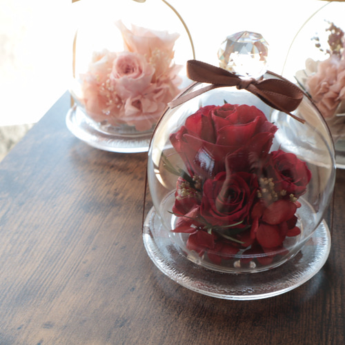 Renewal ガラスドームアレンジ プリザーブドフラワー 花咲（はなえみ