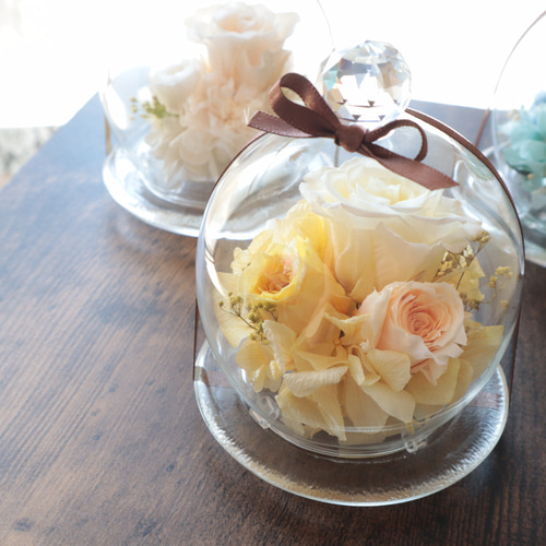 Renewal ガラスドームアレンジ プリザーブドフラワー 花咲（はなえみ
