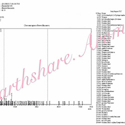 有機オマーン産フランキンセンスサクラ精油5ml 4枚目の画像