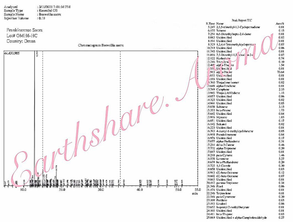 有機オマーン産フランキンセンスサクラ精油5ml 4枚目の画像