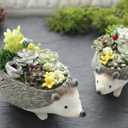 可愛いハリネズミの親子～☆フェイク多肉グリーンアレンジ☆生活に彩り