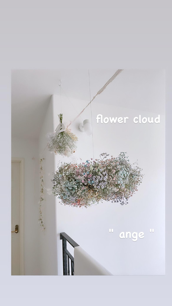  第4張的照片
