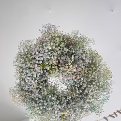  第13張的照片