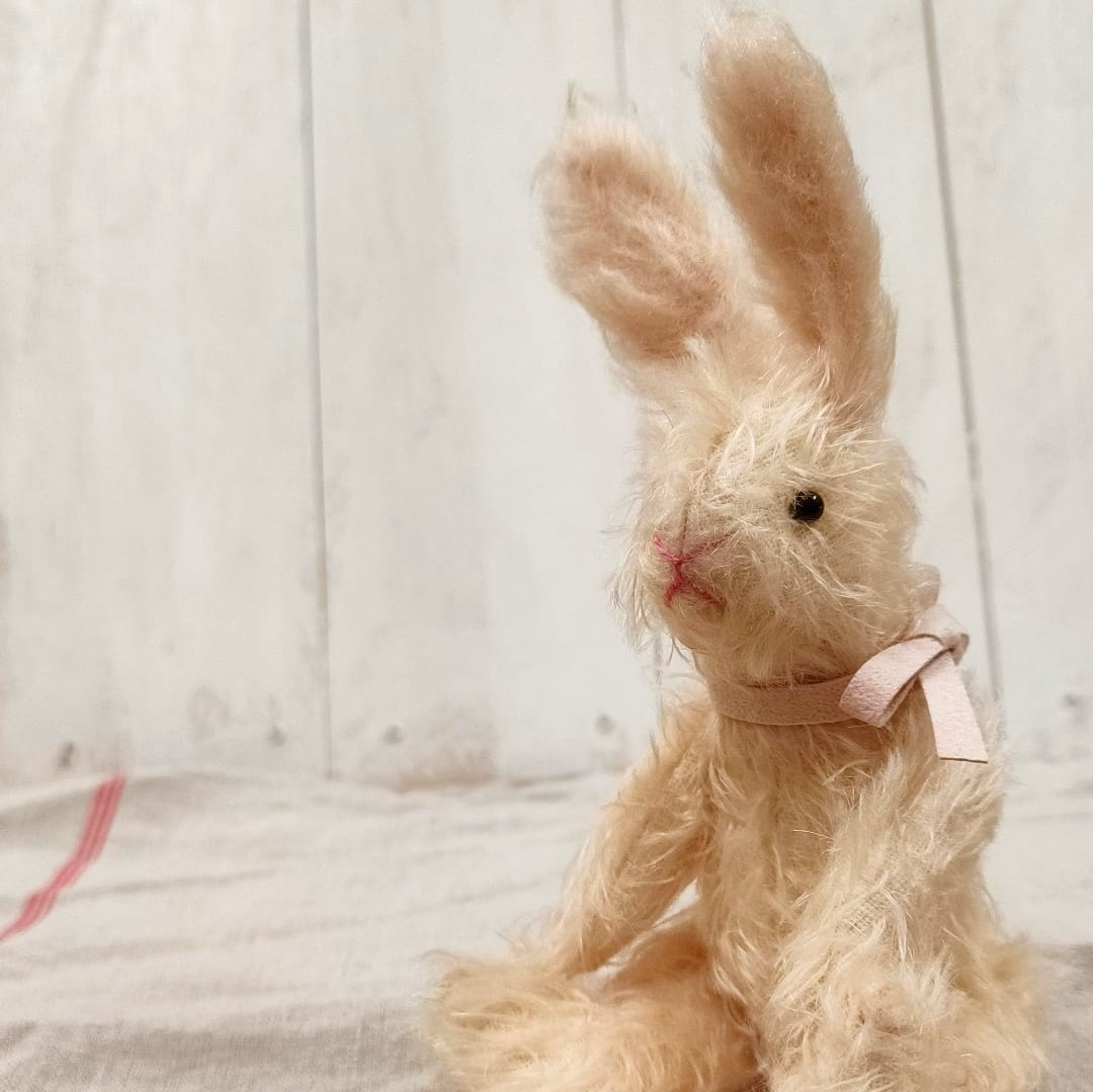 fluffyteddy＊手染めヒマラヤンうさぎ。 2025年最新】ヒマラヤンうさぎ