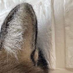 【オーダーメイド】等身大　羊毛リアル猫パネル 5枚目の画像