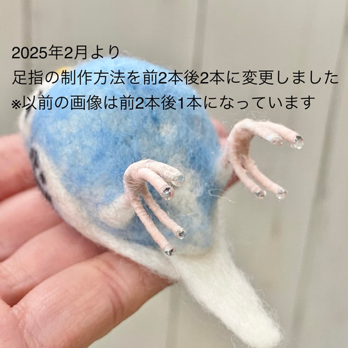 オーダーメイド 瞳うるるんセキセイインコ 手乗りorブローチ 羊毛
