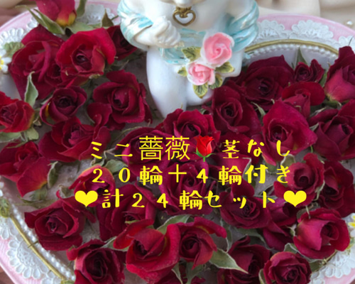 ドライフラワー❇️ミニバラ 長め❣️ a4036a40fe9a9d46ead66c1a6764da