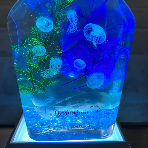 再販10以上－ アクアハーバリウム クラゲ ウィスキーボトル 1本3300円