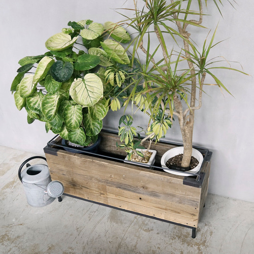 プランタースタンド プランターBOX 植物棚 多肉植物 観葉植物