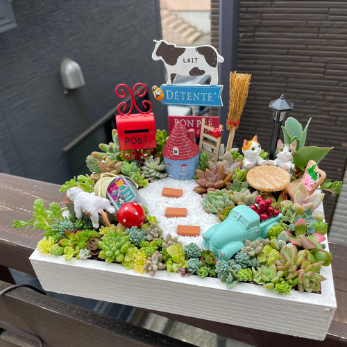プレゼントにも受注制作 にゃんにゃんガーデン箱庭風多肉植物寄せ植え