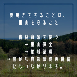 【送料無料】森林浴気分を楽しむ♪能登ヒバチップ｜ハンドメイド用　500ｇ 8枚目の画像