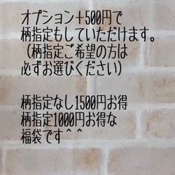 「Creema限定福袋」入園入学3点セット⭐︎送料無料⭐︎3種類から選べる 6枚目の画像