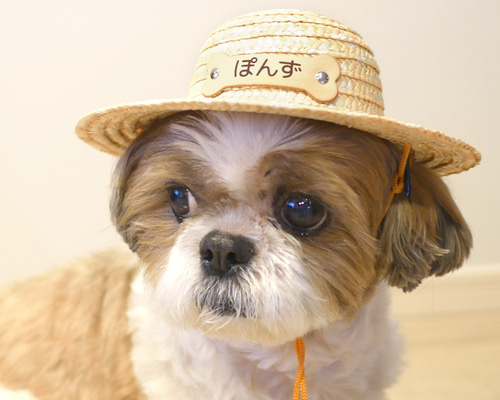 468a511b26dd2f40e0c6348ecfb233