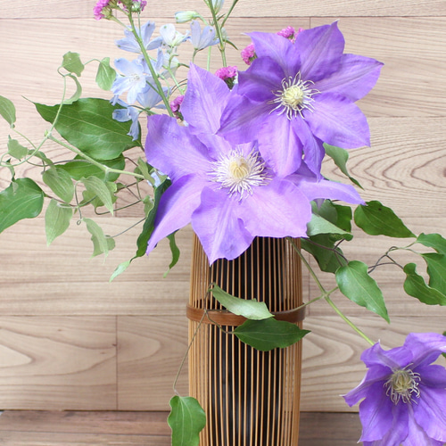 駿河竹千筋細工 花器 静香 古代(煤竹風) 伝統工芸の竹細工