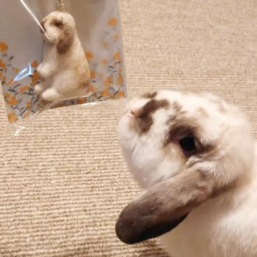 カスタマイズ可】羊毛フェルト うさぎのバッグチャーム うたっち