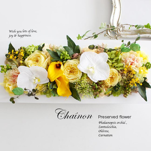 壁掛けOK☆コチョウランとオールドローズのフレームロングL・イエロー