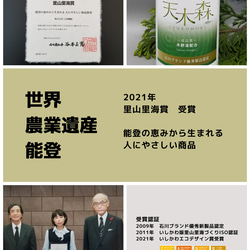 【無添加】能登の森の恵みがギュッと詰まった天然入浴液　500ｍｌ【樹木】100％天然成分 11枚目の画像