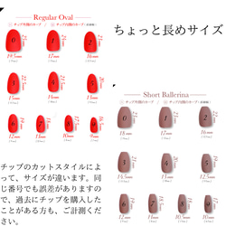 サイズ計測用ネイルチップ 3枚目の画像