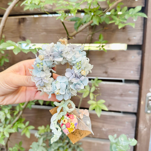 フラワー・リース kurumi 商品 – Kurumi Succulents