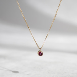 Garnet birthstone necklace [P033K18/K10RG] 2枚目の画像