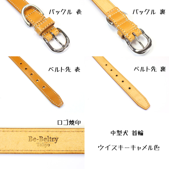 【送料無料】本革首輪〈中型犬〉幅２１ｍｍ　首回り～４０cm(長さ選択可) レザー　青 赤 黄 キャメル 茶 チョコ 色 8枚目の画像