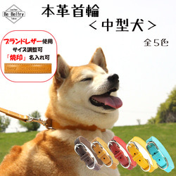 未使用　未開封　中型犬　首輪　Mサイズ　イエロー 50%OFF】 フローフォールド Flowfold 首輪 Mサイズ 中型犬用