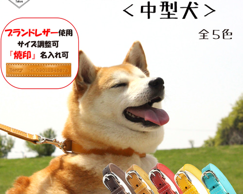 送料無料】本革首輪〈中型犬〉幅21mm 首回り～40cm(長さ選択可