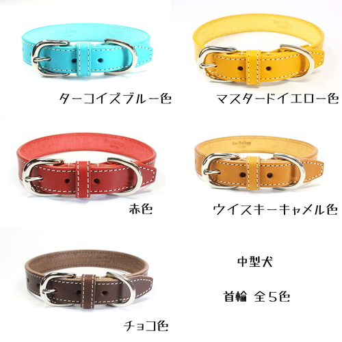 送料無料】本革首輪〈中型犬〉幅21mm 首回り～40cm(長さ選択可