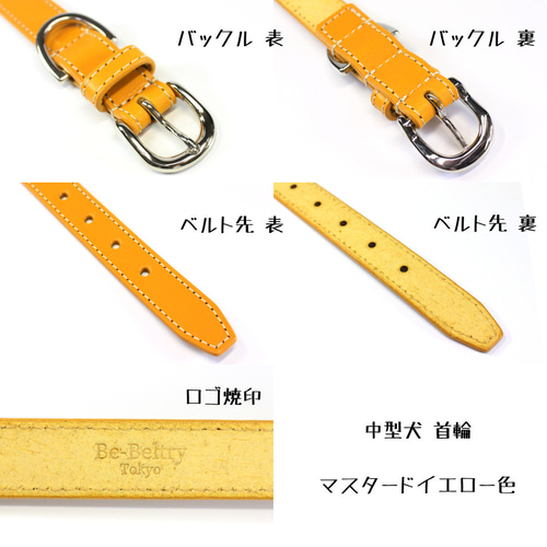 送料無料】本革首輪〈中型犬〉幅21mm 首回り～40cm(長さ選択可
