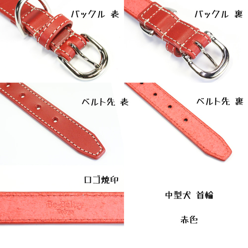 送料無料】本革首輪〈中型犬〉幅21mm 首回り～40cm(長さ選択可