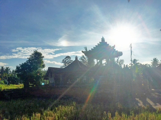 〔プラチナ加工〕真珠パール・神聖幾何学模様/シードオブライフのペンダント✼༺魂と調和、目醒め•*•ヒーリングエネルギー༻