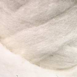 ニュージーランドメリノウール　スライバー　ナチュラルホワイト　100ｇ 6枚目の画像