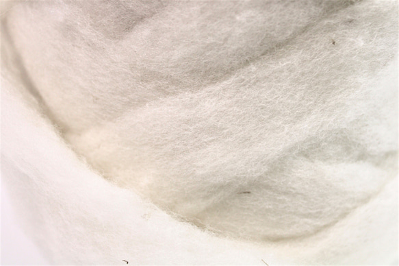 ニュージーランドメリノウール　スライバー　ナチュラルホワイト　100ｇ 6枚目の画像