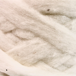 ニュージーランドメリノウール　スライバー　ナチュラルホワイト　100ｇ 3枚目の画像
