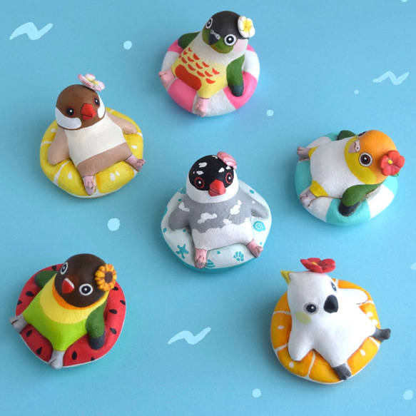 浮世德普卡普卡小鳥 [2023] 第1張的照片