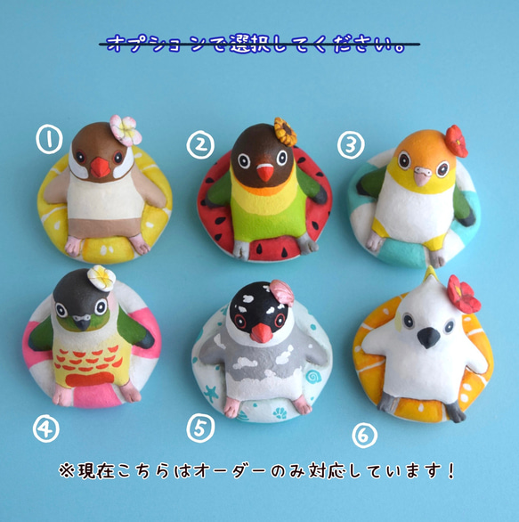 浮世德普卡普卡小鳥 [2023] 第3張的照片