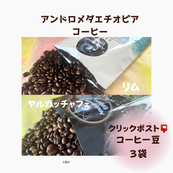 クリックポスト:アンドロメダエチオピアコーヒー100ｇ(粉）3袋エチオピアミックス　野生のコーヒー　いだきしんサウンド　 1枚目の画像