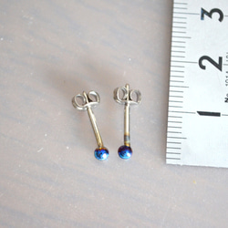 Titanium　pierced earrings・チタンピアス2粒・=P・B=１６G 4枚目の画像