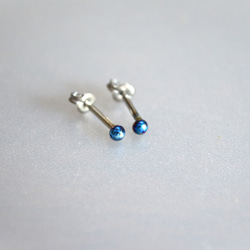 Titanium　pierced earrings・チタンピアス2粒・=P・B=１６G 3枚目の画像