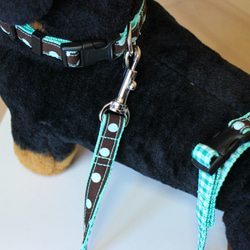 犬ちゃんリｰド しっかり両面 便利なハンドル付き☆茶色×ペパーミント水玉+緑ギンガムチェック 4枚目の画像